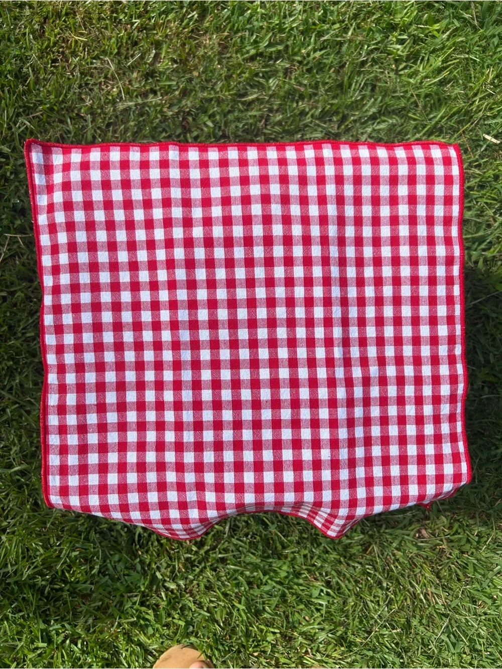 Red Gingham Picnic Napkins - Set of 8